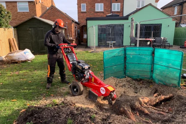 Removing a tree stump with a professional tree stump grinder