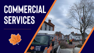 Commercial tree services and fencing services in leicestershire, nottinghamshire and derbyshire