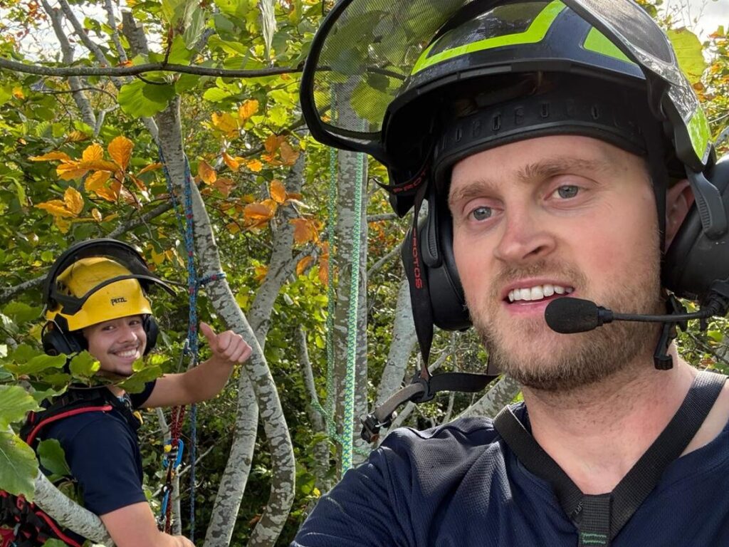 Tree surgeons in a tree, leicestershire