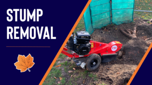 Stump removal and stump grinding services in leicestershire, nottinghamshire and derbyshire