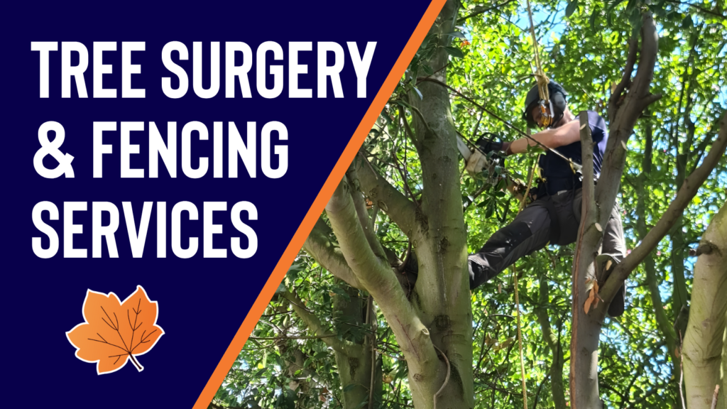 tree surgery and fencing services in shepshed, loughborough, leicestershire and nottinghamshire and derbyshire
